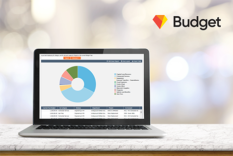 screenshot of Questica Budget